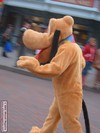 En daar, daar rent Pluto.