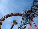 Op het masterplan van Six Flags Belgium stond een Giant Inverted Boomerang in plaats van Cobra.